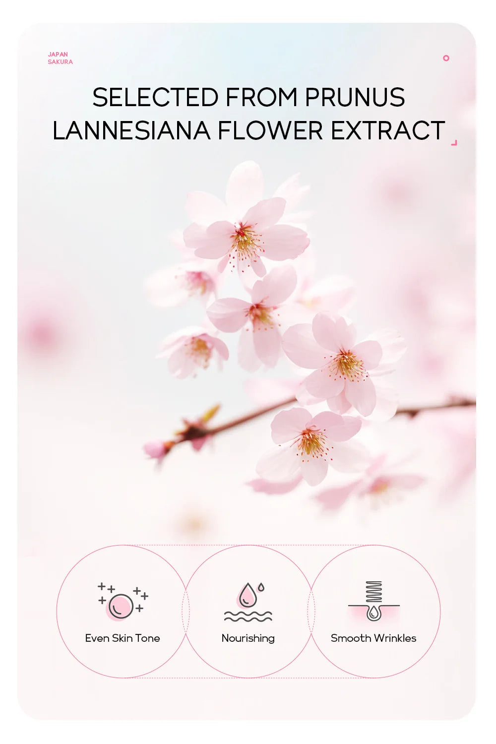 LAIKOU 24K Gold Sakura Peeling Gesichtsmaske Anti Falten  Mitesser Entfernung Gesichts Abreißmaske Hautpflegeprodukte